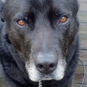 Meet your Posher, Bre